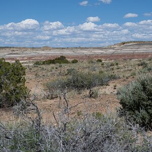 DSC_1508.jpg