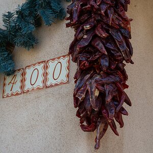 DSC_1537.jpg