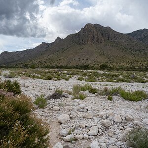 DSC_1770.jpg