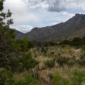 DSC_1772.jpg