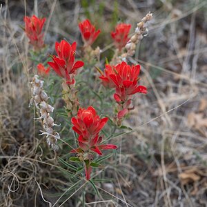 DSC_1776.jpg