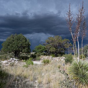 DSC_1779.jpg