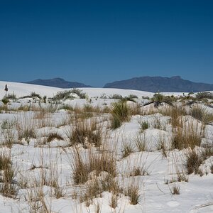 DSC_1789.jpg