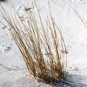 DSC_1791.jpg