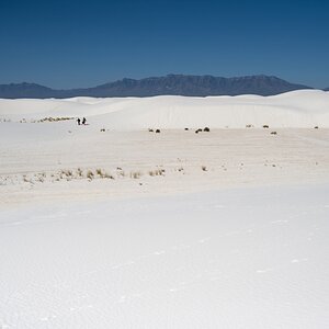 DSC_1799.jpg
