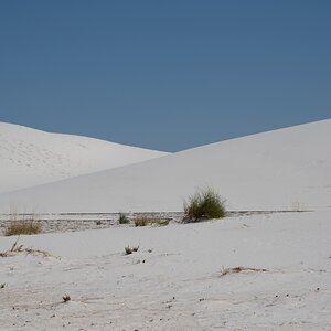 DSC_1821.jpg