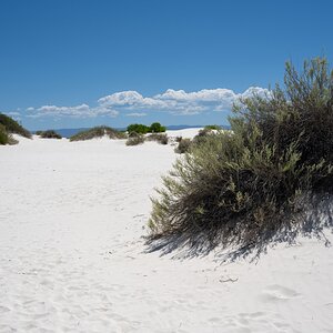 DSC_1838.jpg