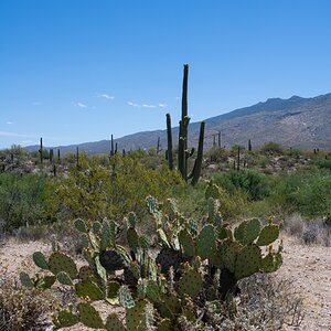 DSC_1898.jpg