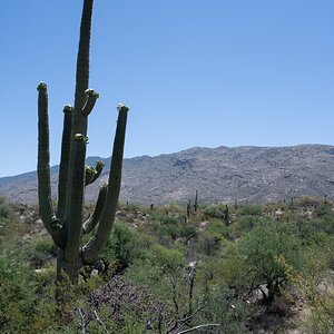 DSC_1899.jpg