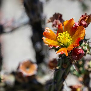 DSC_1903.jpg