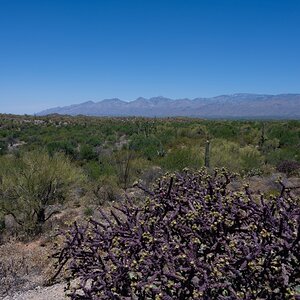 DSC_1908.jpg