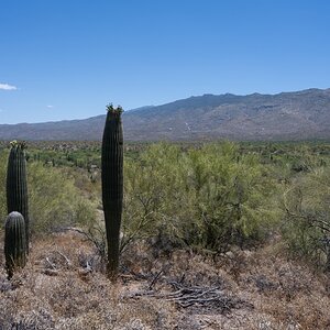 DSC_1914.jpg