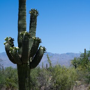DSC_1917.jpg