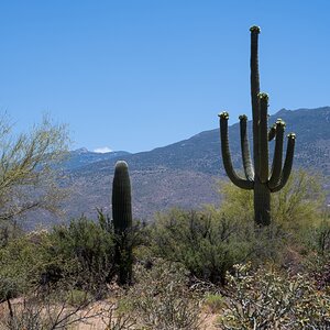 DSC_1925.jpg