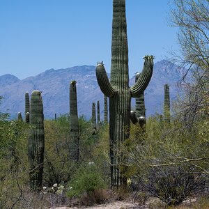 DSC_1926.jpg