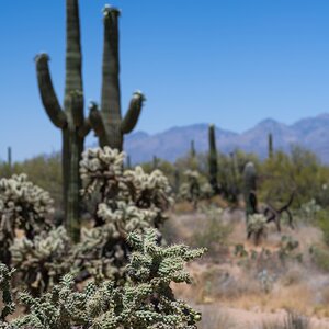 DSC_1930.jpg