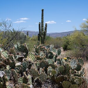 DSC_1938.jpg