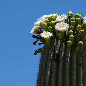 DSC_1943.jpg
