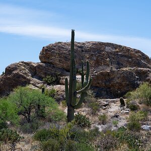 DSC_1952.jpg
