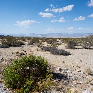 DSC_1975.jpg