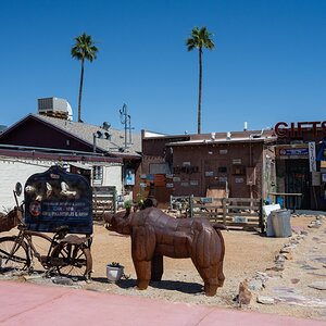 DSC_2094.jpg