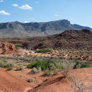 DSC_2182.jpg