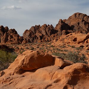 DSC_2219.jpg