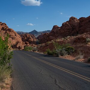 DSC_2232.jpg