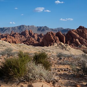 DSC_2236.jpg