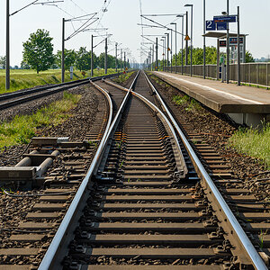 OF2_62595.jpg