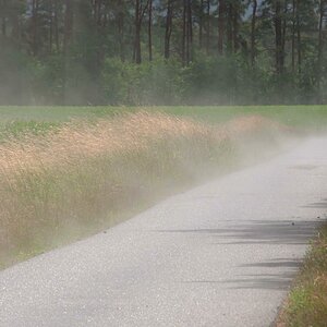 Nach dem Gewitter 1.jpg