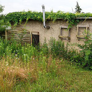 OF2_63516.jpg