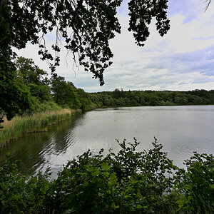 Dreifelderweiher01.JPG