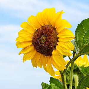 OF2_64103.jpg