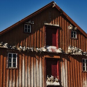 Möwen-2.jpg