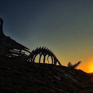 Leviathan-1.jpg