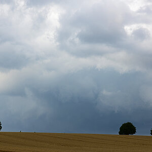 811_8430t1l10fks40p1.jpg