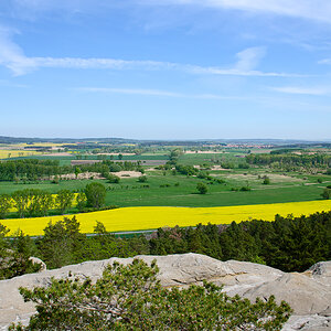 OF-59652.jpg