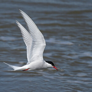 NZ9_9224_Vorbeiflug mit Glasaal_IA_5_2023.jpg