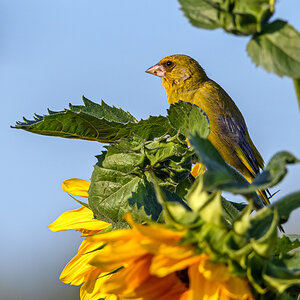 OF5_40290.jpg