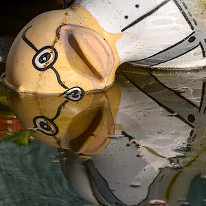 OF5_40301.jpg