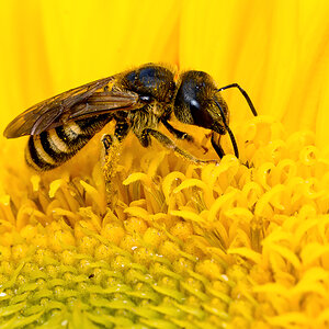 OF2_64097.jpg