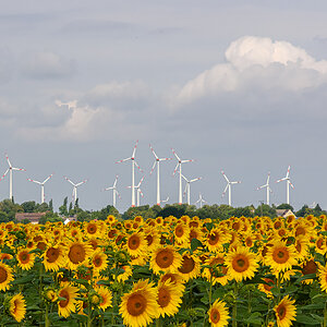 OF2_64509.jpg