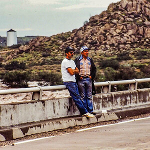 PA260725.jpg