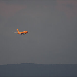 D50_8933-Verbessert-RR.jpg