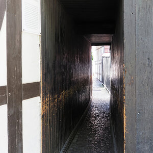 KSW02265.jpg