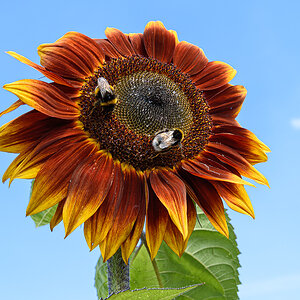 OF2_03188.jpg