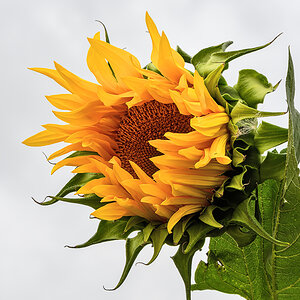 OF5_40368.jpg