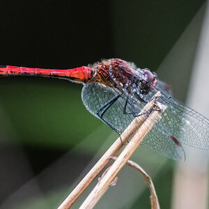 230805-015.jpg