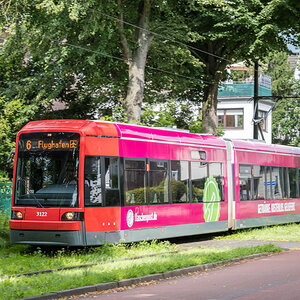230806-003.jpg